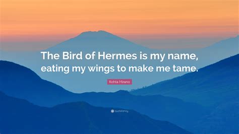 the bird of hermes is my name meaning|alucard bird of hermes quote.